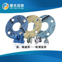 泵閥通用進(jìn)口無(wú)石棉密封墊片